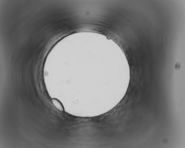 X0000101400289200808041047