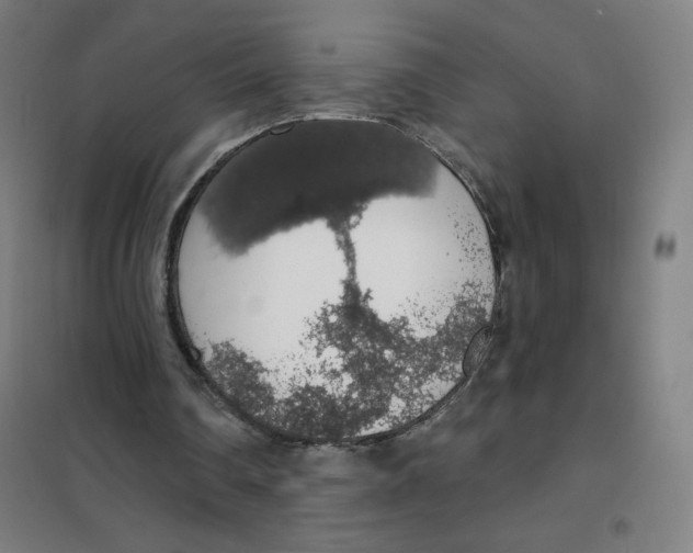 X0000101400290200808041047