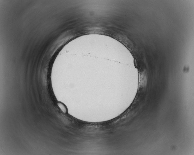 X0000101400291200808041047