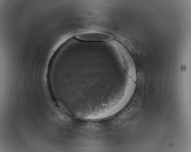 X0000101400292200808041047