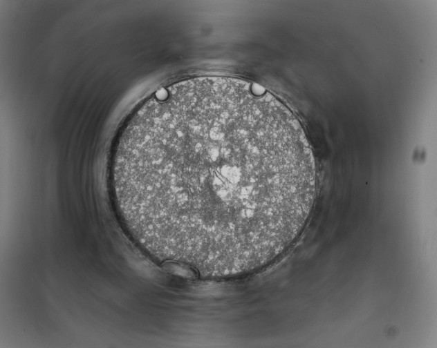 X0000101400293200808041047