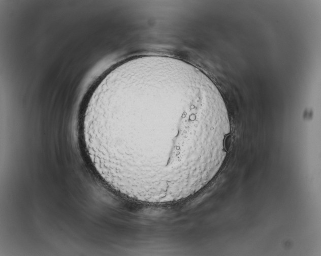 X0000101400294200808041047