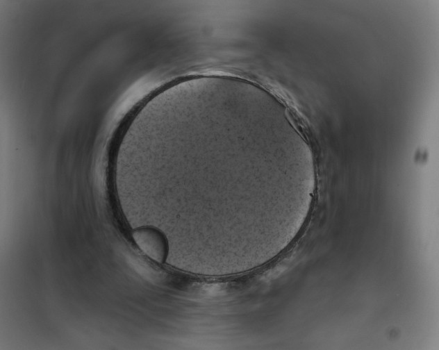 X0000101400295200808041047