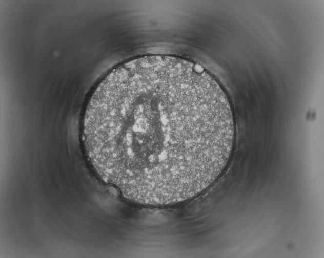 X0000101400297200808041047