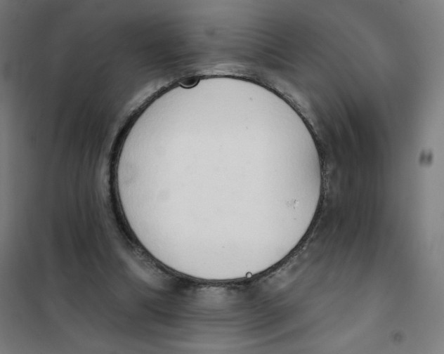 X0000101400298200808041047