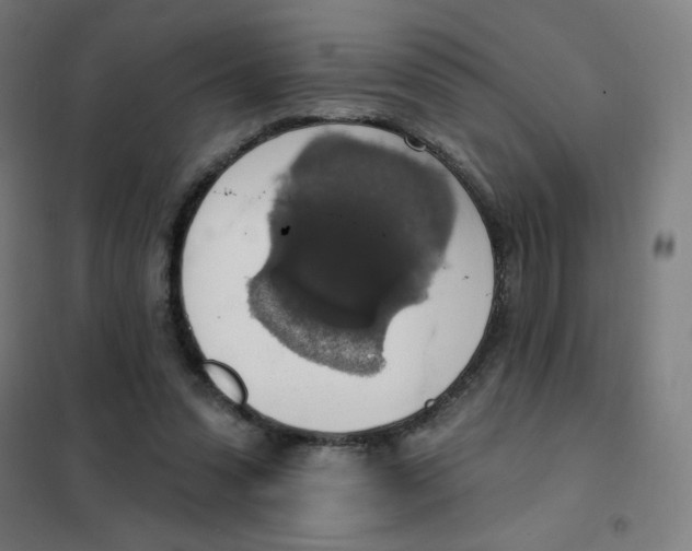 X0000101400303200808041047