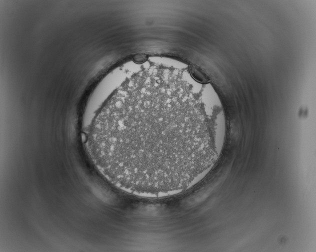 X0000101400304200808041047