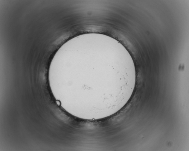 X0000101400305200808041047