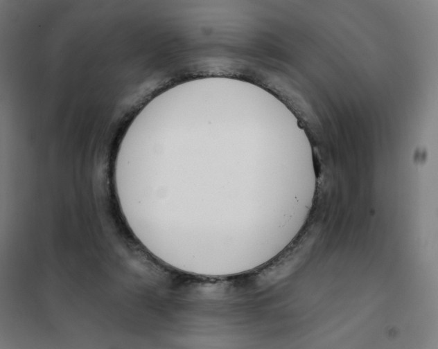 X0000101400306200808041047