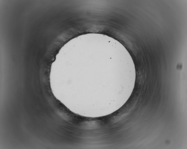 X0000101400307200808041047