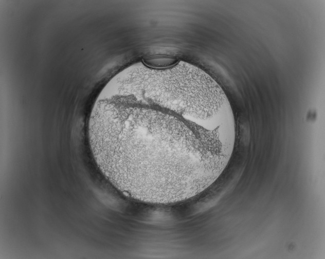 X0000101400308200808041047