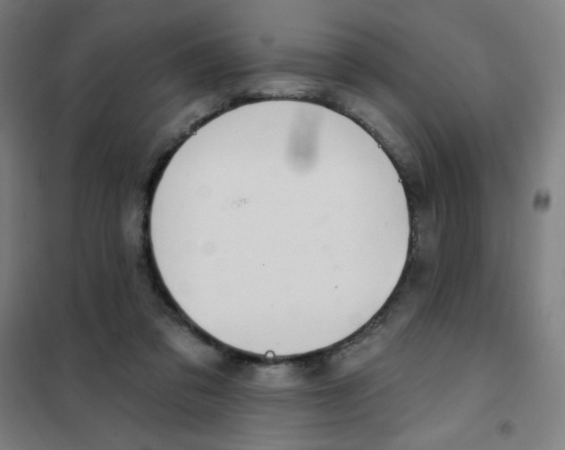 X0000101400309200808041047