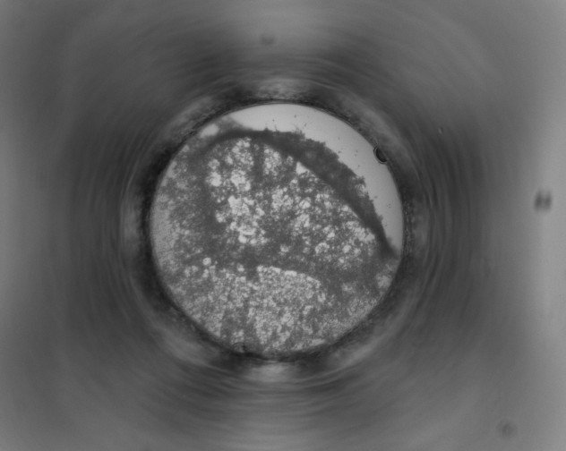 X0000101400312200808041047