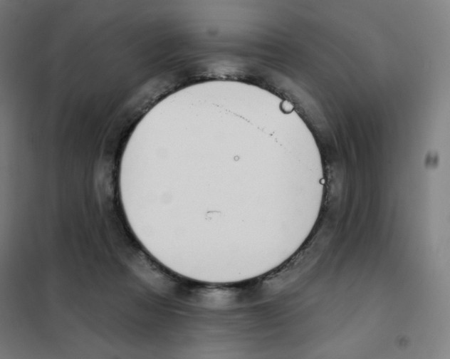 X0000101400313200808041047