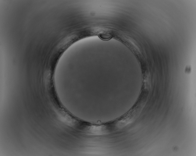 X0000101400314200808041047