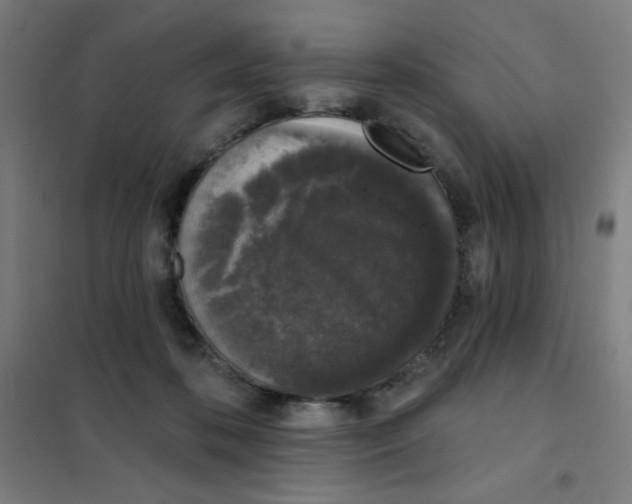 X0000101400316200808041047