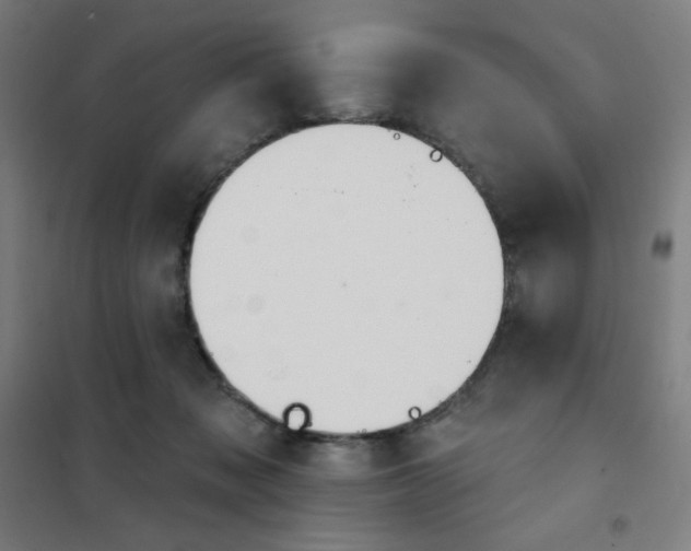 X0000101400317200808041047