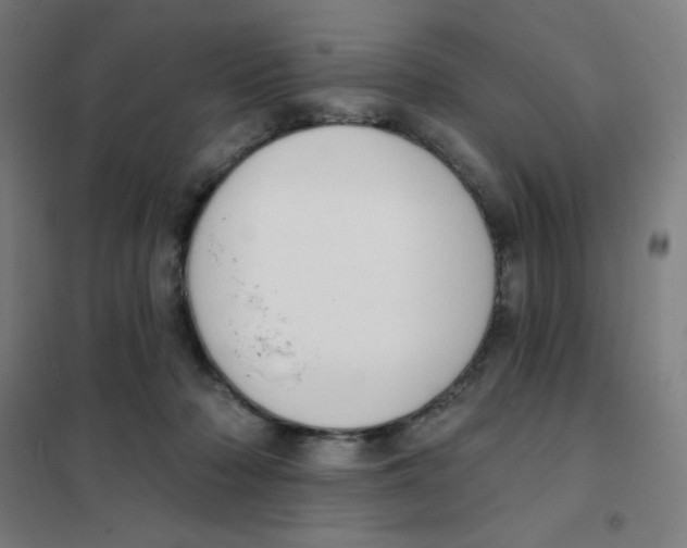 X0000101400318200808041047