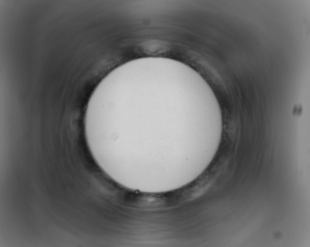 X0000101400319200808041047