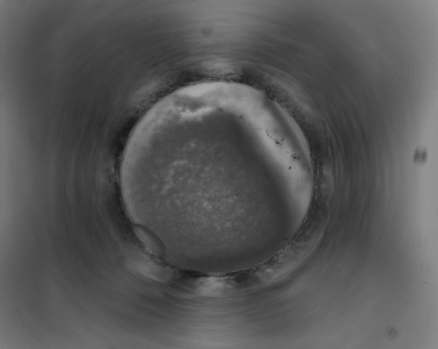 X0000101400320200808041047