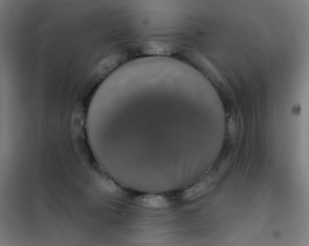 X0000101400322200808041047