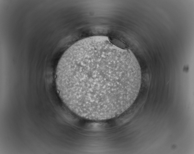 X0000101400323200808041047