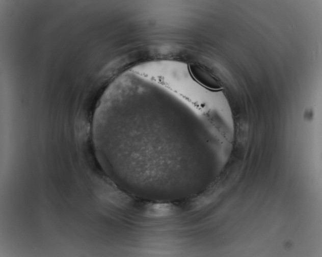 X0000101400324200808041047