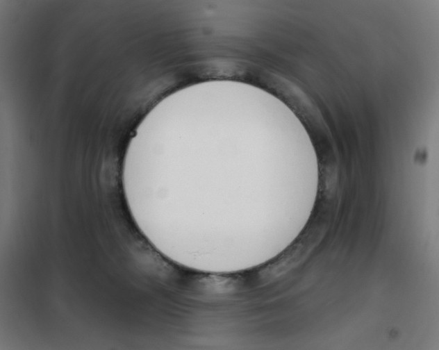 X0000101400326200808041047