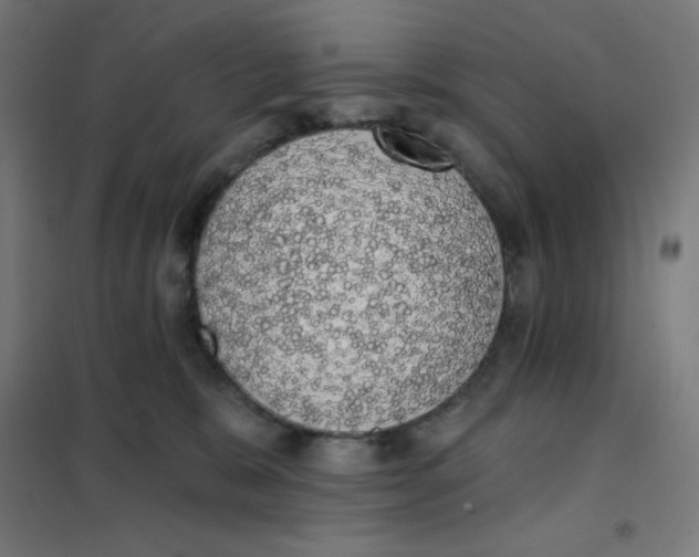 X0000101400327200808041047