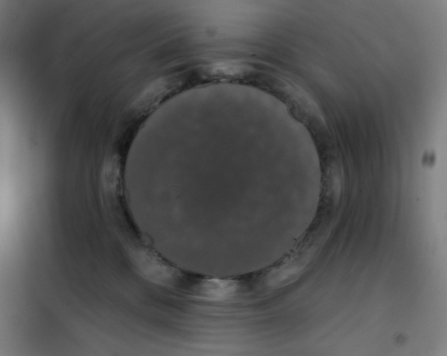 X0000101400328200808041047