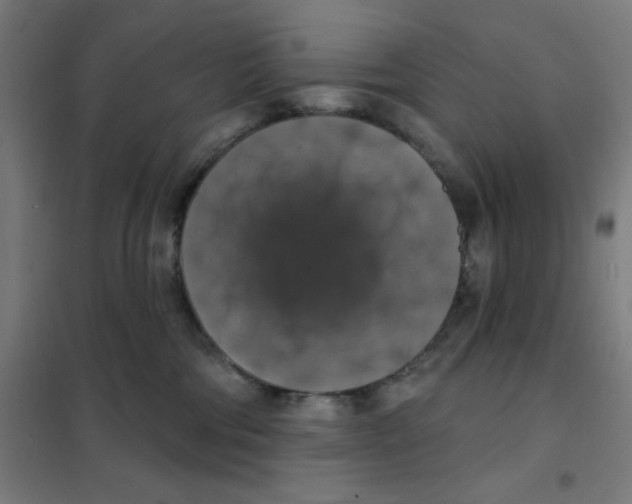 X0000101400330200808041047