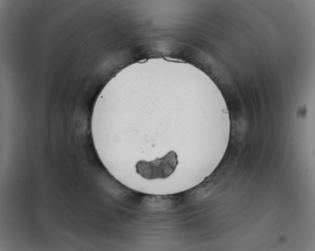 X0000101400331200808041047