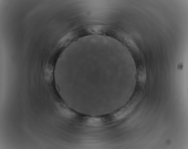 X0000101400332200808041047