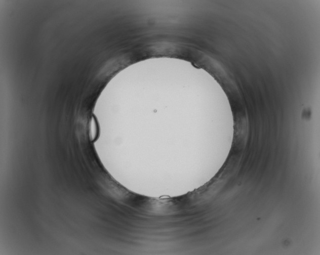 X0000101400333200808041047