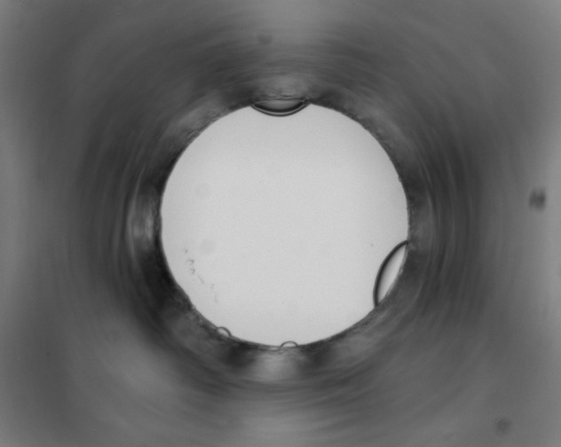 X0000101400334200808041047