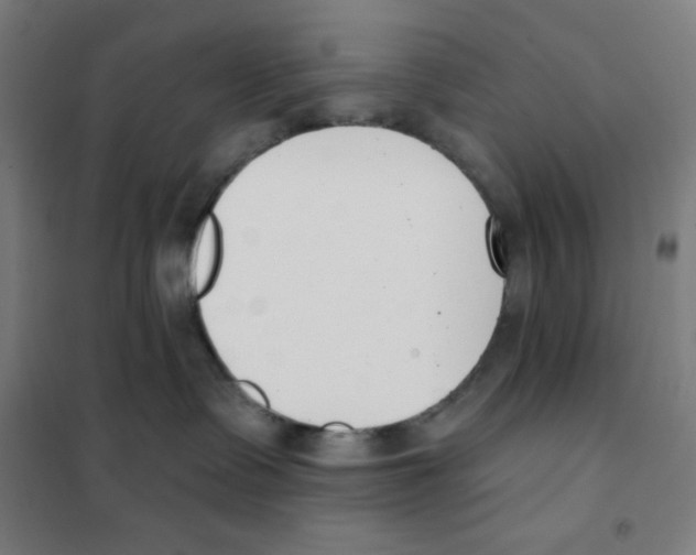 X0000101400335200808041047