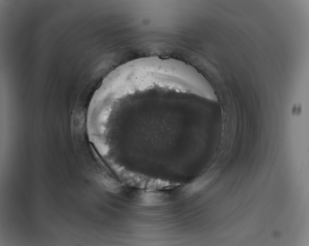 X0000101400336200808041047