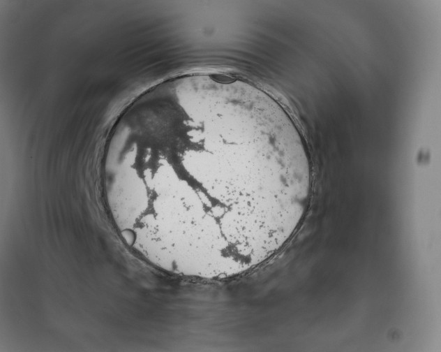 X0000101400337200808041046