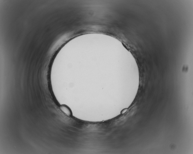 X0000101400341200808041046