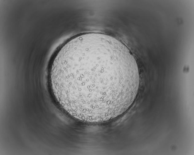 X0000101400342200808041046