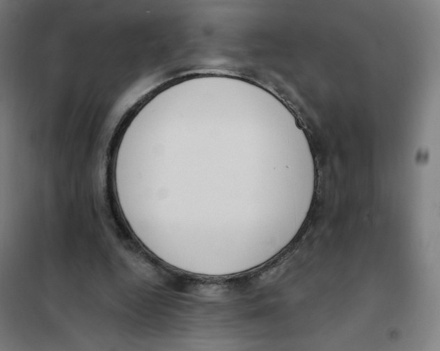 X0000101400344200808041046