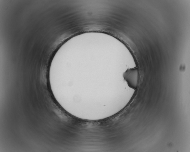 X0000101400345200808041046