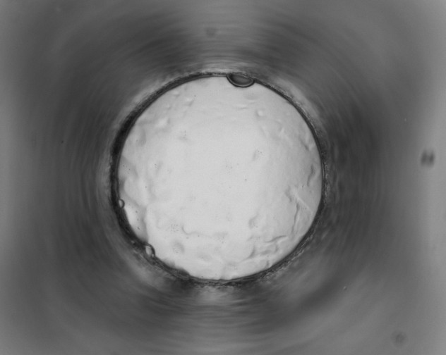 X0000101400346200808041046