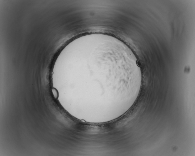 X0000101400347200808041046