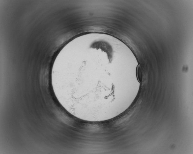 X0000101400349200808041046