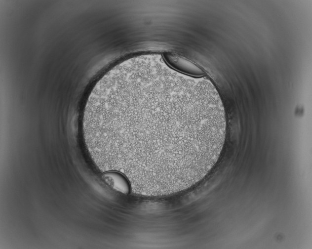 X0000101400350200808041046