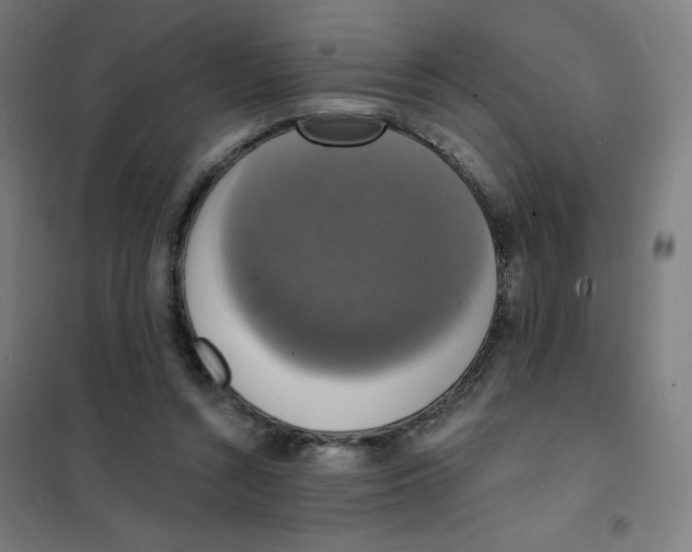 X0000101400352200808041046