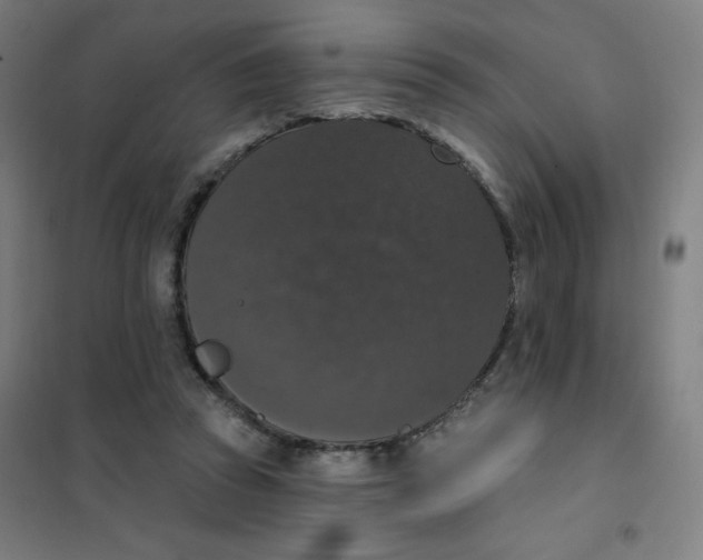 X0000101400353200808041046