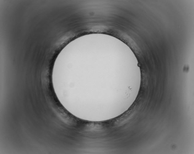 X0000101400354200808041046