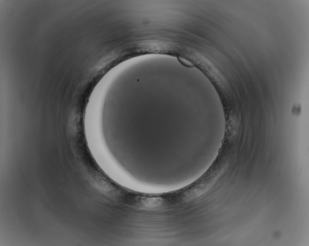 X0000101400355200808041046